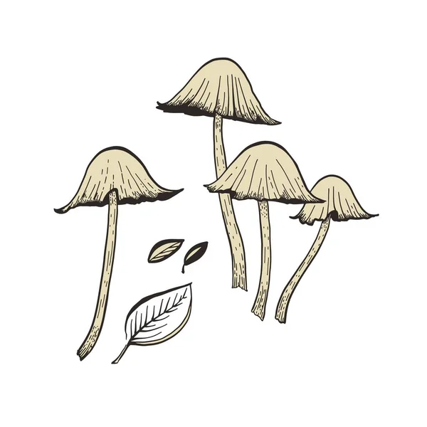 Rysunek graficzny grzybów muchomorowych z liśćmi na beżowym tle, zbliżenie — Wektor stockowy