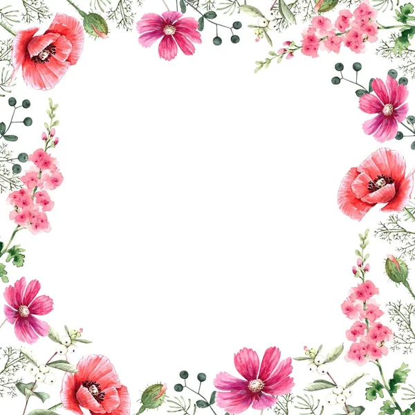 Frame Van Roze Wilde Bloemen Met Planten Aquarel Illustratie Witte — Stockfoto