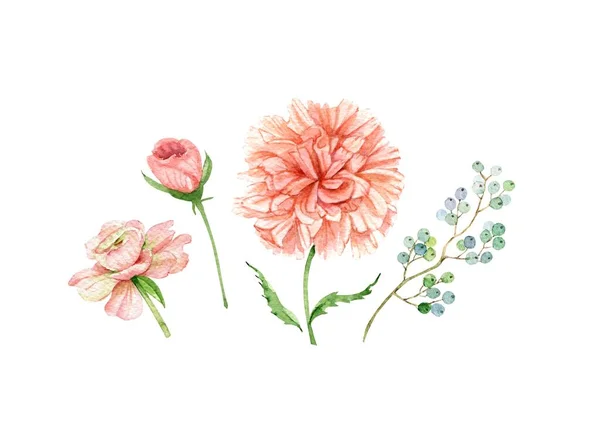 Набор Акварельных Иллюстраций Нежными Розовыми Цветами Раскрашенными Вручную — стоковое фото