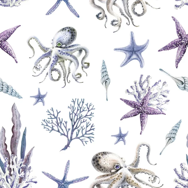 Padrão Com Estrelas Mar Polvos Fundo Branco Pintados Mão Aquarela — Fotografia de Stock