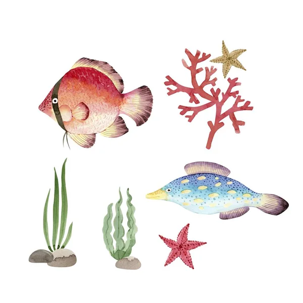 Marine Set Multicolored Fish Corals Algae White Background Watercolor Illustration — Stock Fotó