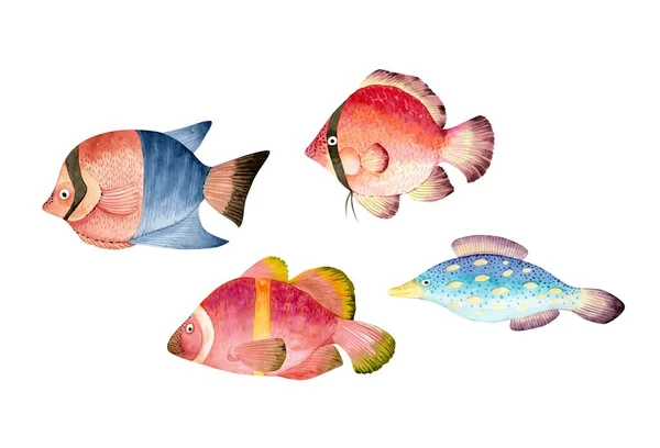 ดของปลาท นบนพ นหล ขาว ภาพวาดส าวาดม — ภาพถ่ายสต็อก