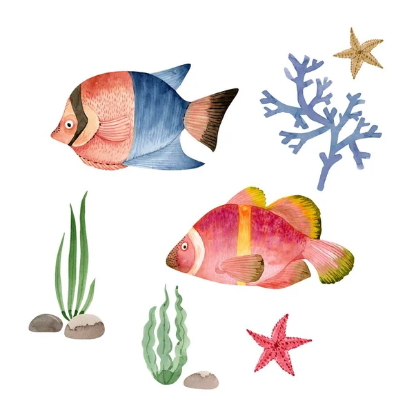 Marine Set Multicolored Fish Corals Algae White Background Watercolor Illustration — Stock Fotó