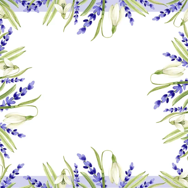 Cornice Con Delicati Fiori Primaverili Acquerello Illustrazione Sfondo Bianco Dipinti — Foto Stock