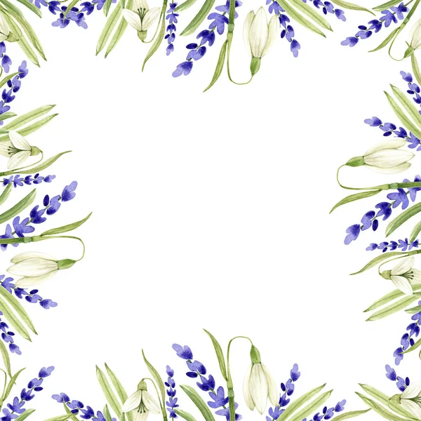 Cornice Con Delicati Fiori Primaverili Acquerello Illustrazione Sfondo Bianco Dipinti — Foto Stock