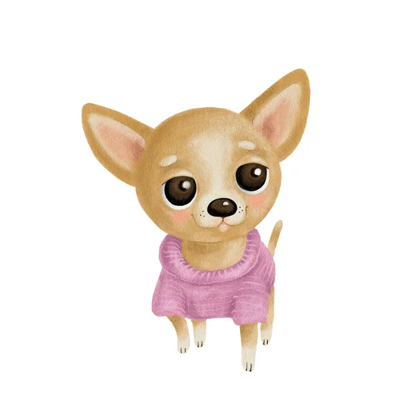 水彩画奇瓦瓦犬穿着粉色毛衣 手绘在白色的背景上 印刷品的欢快 正面及喜庆的素描 — 图库照片
