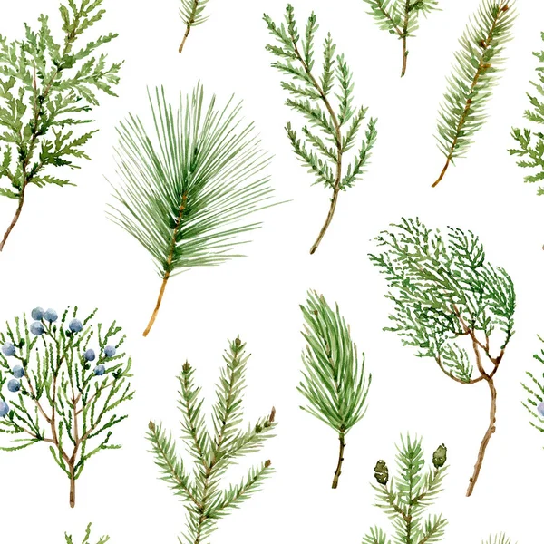 Seamless Pattern Green Branches Pine Spruce Thuja Illustration Watercolor Hand — Stock Photo, Image