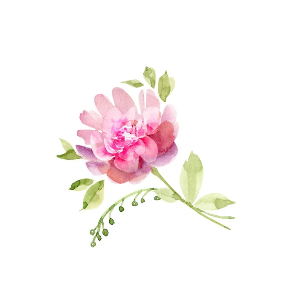 在白色背景上隔离的水彩画粉红色花朵 为婚礼和邀请函手绘 — 图库照片