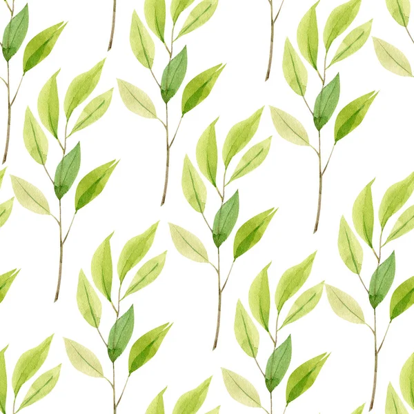 无缝隙植物背景 绿枝叶叶 白色背景上的水彩画手绘 — 图库照片
