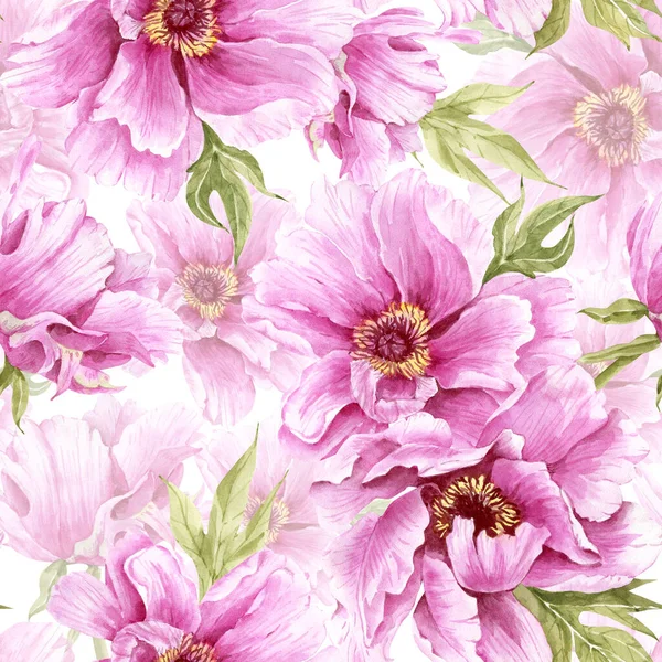 Zökkenőmentes Minta Akvarell Rózsaszín Nagy Virágok Bazsarózsa Egy Fehér Háttér — Stock Fotó