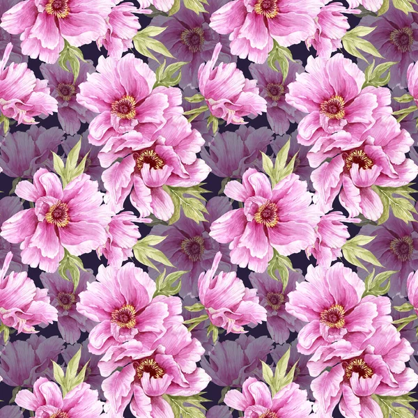 Χωρίς Ραφή Μοτίβο Ροζ Υδατογραφία Μεγάλα Λουλούδια Παιώνιες Μπλε Φόντο — Φωτογραφία Αρχείου