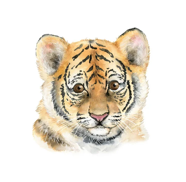 Aquarell Illustration Tier Junger Tiger Symbol Des Neuen Jahres Handbemalt — Stockfoto