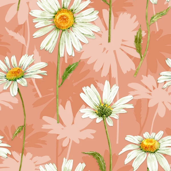 ピンクの背景に白い草原の花カモミールとシームレスなパターン スイカのイラスト — ストック写真