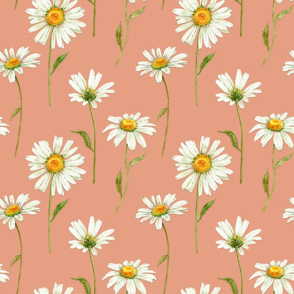 Bezešvé Vzor Bílými Květy Louky Heřmánku Růžovém Pozadí Ilustrace Akvarel — Stock fotografie