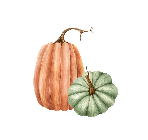 Aquarel Illustratie Vegetarisch Voedsel Groen Oranje Pompoen Groenten Een Witte — Stockfoto