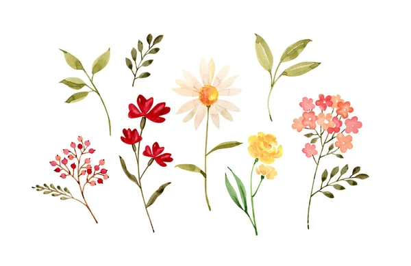 Uppsättning Akvarell Illustrationer Blommor Vit Bakgrund Handmålade För Design Och — Stockfoto