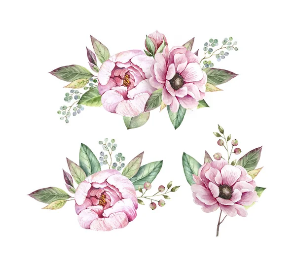Σετ Από Λουλούδια Και Ανθοδέσμες Ροζ Παιώνιες Λευκό Φόντο Ζωγραφισμένο — Φωτογραφία Αρχείου
