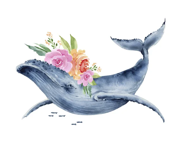 ภาพวาดส าของวาฬส าเง อดอกไม าหร บการออกแบบและการ ดอวยพร — ภาพถ่ายสต็อก