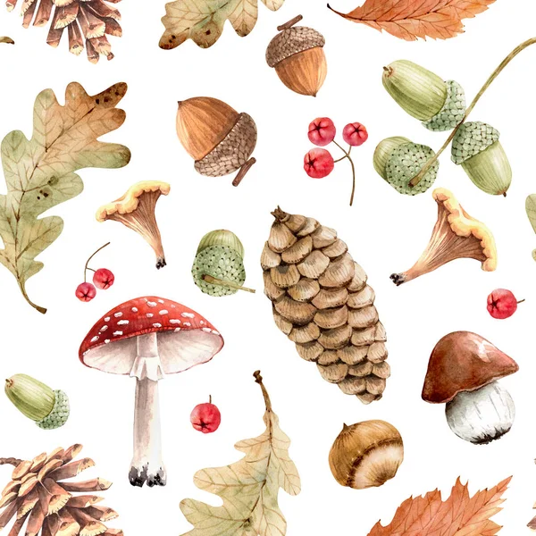 Seamless Pattern Design Forest Plants Leaves Cones Mushrooms Hand Painted — Stock Photo, Image