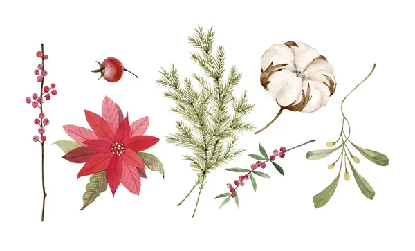 Aquarel Set Met Kerstdecor Sparren Takken Bessen Rode Poinsettia Bloem — Stockfoto