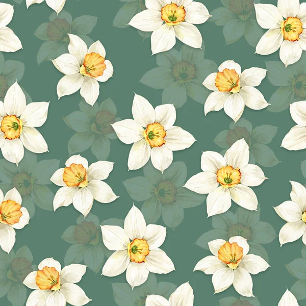 緑の背景に白い花の水仙とシームレスなパターン 水彩画のイラスト — ストック写真