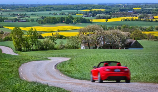 Campos de colza amarelos e um carro vermelho — Fotografia de Stock