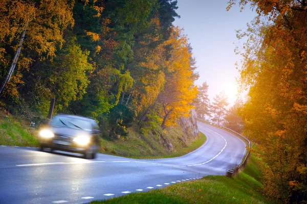 Carro na estrada nos fores — Fotografia de Stock