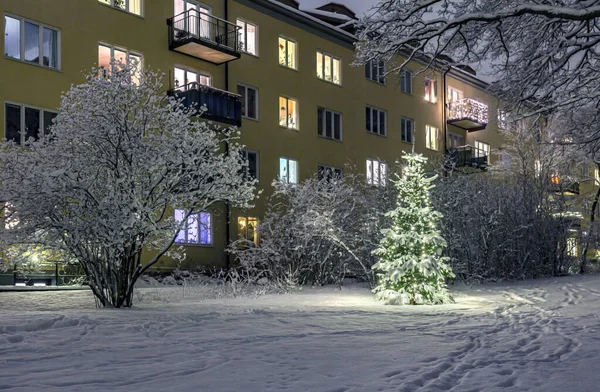 Kerstboom Sneeuw — Stockfoto