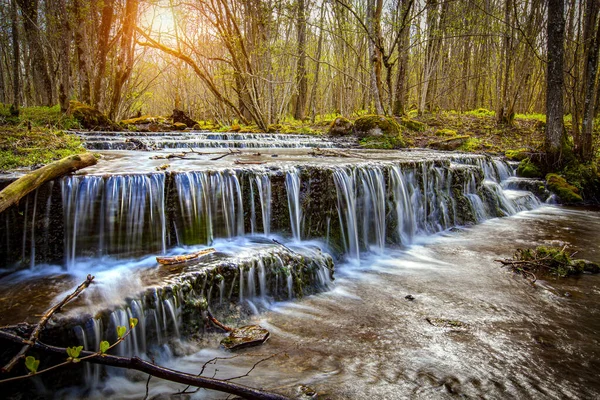 Kleiner Bach Südschweden — Stockfoto