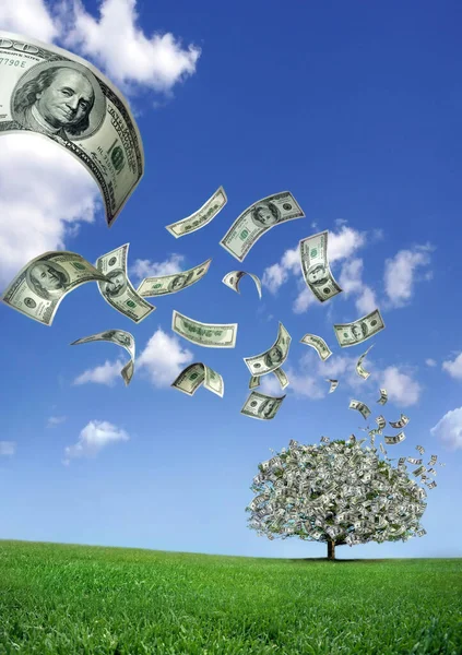 Falling Dollar Bills Money Tree — Stock Photo, Image