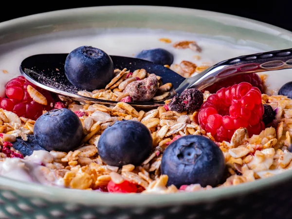 Delicioso Tazón Desayuno Yogur Con Muesli Berrie Fresca —  Fotos de Stock