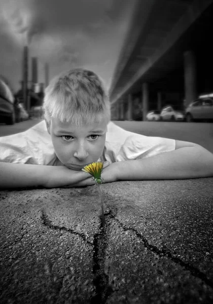 Menino Uma Flor — Fotografia de Stock