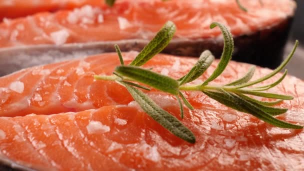 Fresh Raw Salmon Fish Fillet Close — Stock Video