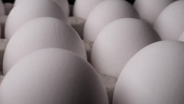 Білі Сирі Курячі Яйця Картонній Коробці — стокове відео