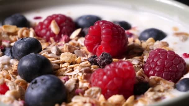 Lahodná Miska Snídani Jogurtem Müsli Čerstvými Bobulemi — Stock video