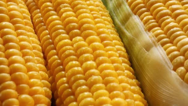 Закрыть Сладкую Кукурузу Тарелку — стоковое видео