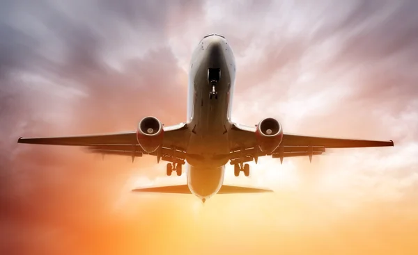 Airplane landing — Stock Photo, Image