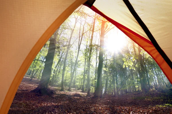 Zelten im Wald — Stockfoto