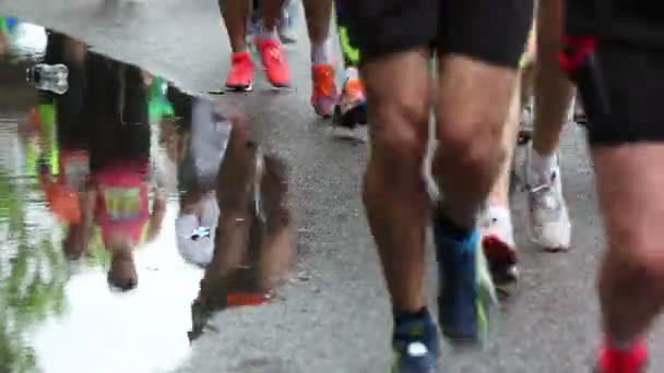 Maraton Koşucuları — Stok video