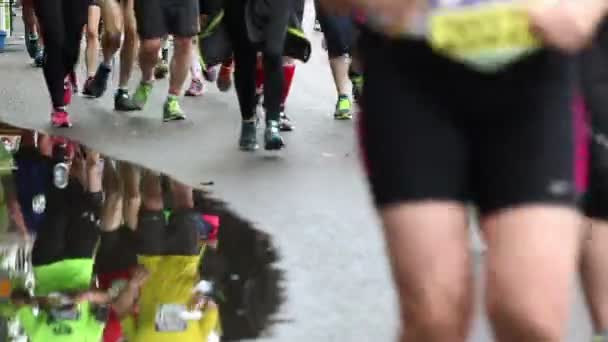 Biegacze maratońscy — Wideo stockowe