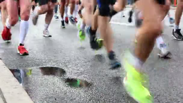 Corredores de maratón — Vídeo de stock