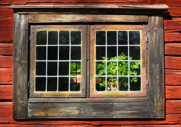 Oude venster — Stockfoto