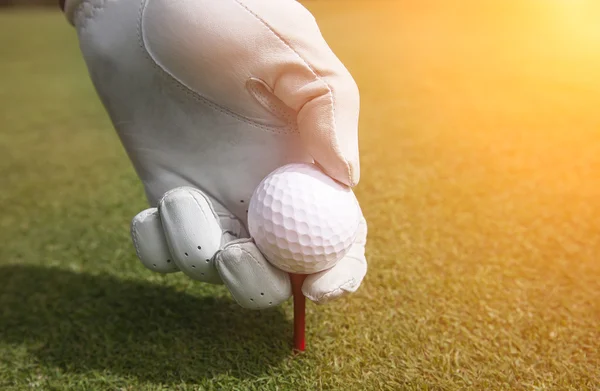 Colocar una pelota de golf en una camiseta — Foto de Stock