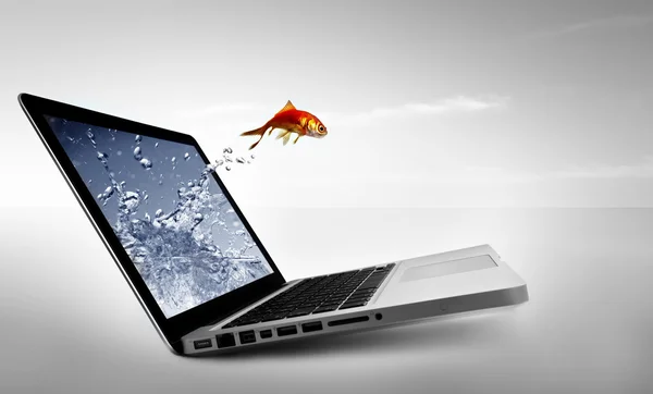 Goldfish jump out of the monitor — Stock Photo, Image