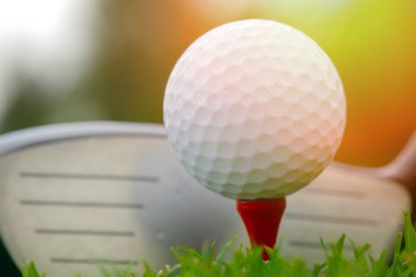 Golf sopası ve top çimenlerde.