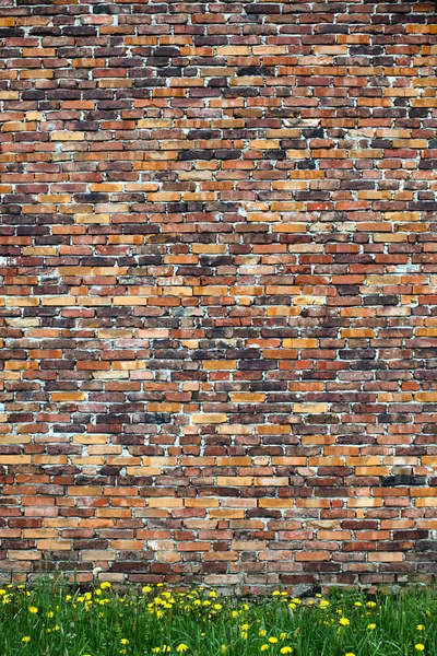 오래 된 벽돌 벽 배경 — 스톡 사진