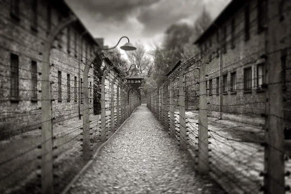 Auschwitz — Stock Photo, Image