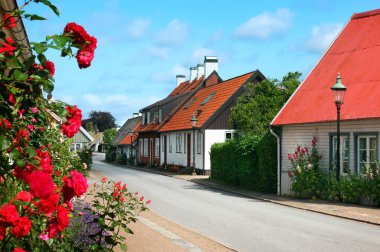 House, piç, İsveç, Scandinavia, Europe