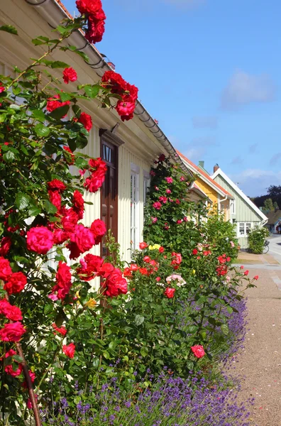 Huset, Båstad, Sverige, Skandinavien, Europa — Stockfoto