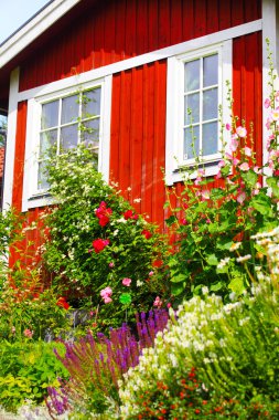 Yazlık çiçekli Bahçe